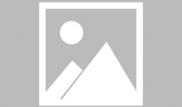 能看的视频,精选视频内容概览